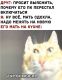 следующее фото