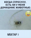 следующее фото