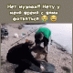 предыдушее фото