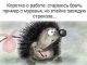 предыдушее фото