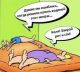 предыдушее фото