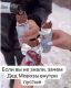 предыдушее фото