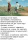 предыдушее фото