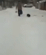 предыдушее фото