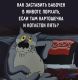 следующее фото