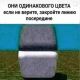 следующее фото