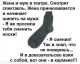 предыдушее фото