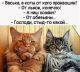 предыдушее фото