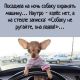 предыдушее фото