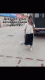 предыдушее фото