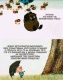 предыдушее фото