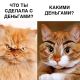 предыдушее фото