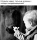 предыдушее фото