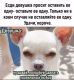 предыдушее фото