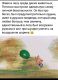 предыдушее фото