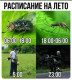 предыдушее фото