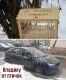 предыдушее фото