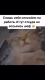 предыдушее фото