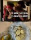 предыдушее фото
