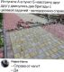 предыдушее фото