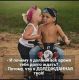 предыдушее фото