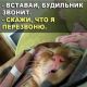 предыдушее фото
