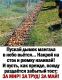 предыдушее фото