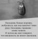 предыдушее фото