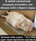 следующее фото