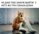 предыдушее фото