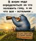 предыдушее фото