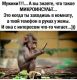 предыдушее фото