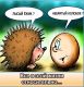 следующее фото