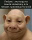 предыдушее фото