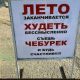 предыдушее фото