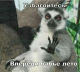следующее фото