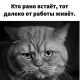 следующее фото