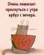 следующее фото