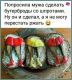 предыдушее фото