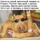 предыдушее фото