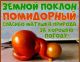 предыдушее фото