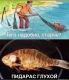следующее фото
