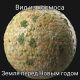 предыдушее фото