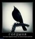 предыдушее фото