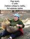 предыдушее фото