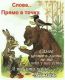 предыдушее фото