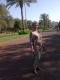 следующее фото