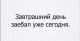 следующее фото