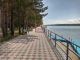 предыдушее фото