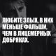 следующее фото